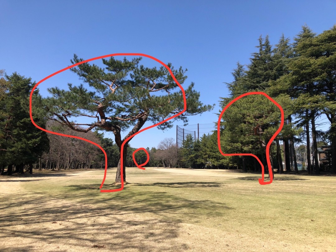【ゴルフ部】2024年3月　大宮ゴルフコース（埼玉県）